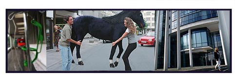 Bodo Nussdorfer Fotogafie 